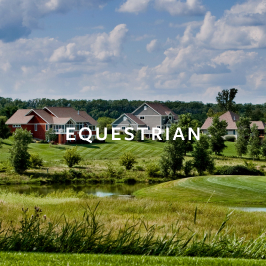 Equestrian
