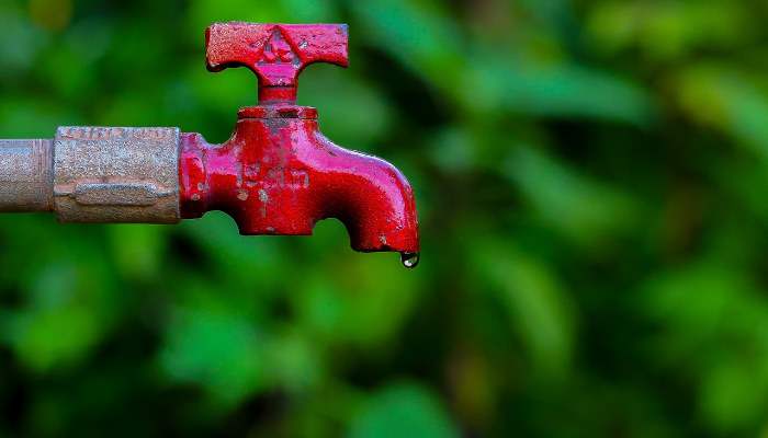 Smart ways to save water in the summer